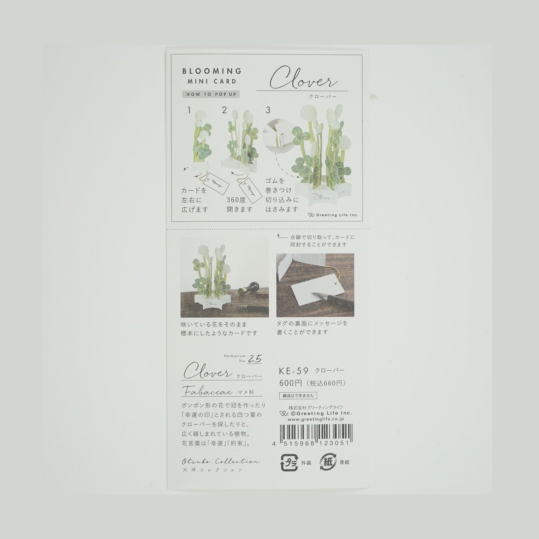 Greeting Life Blooming Mini Card Clover