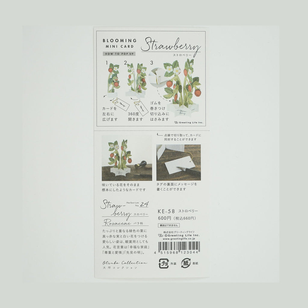 Greeting Life Blooming Mini Card Strawberry