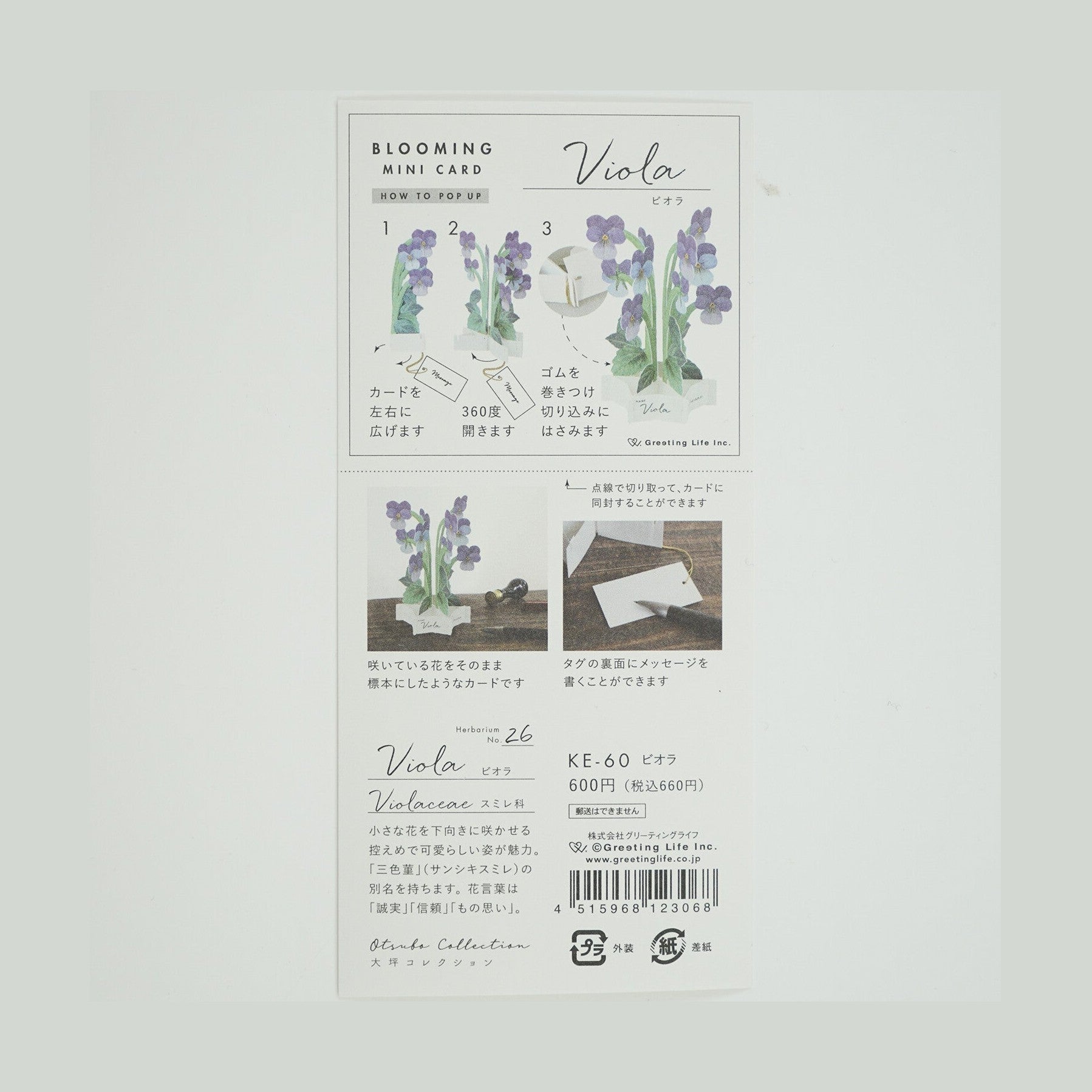Greeting Life Blooming Mini Card Viola