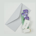 Greeting Life Blooming Mini Card Viola