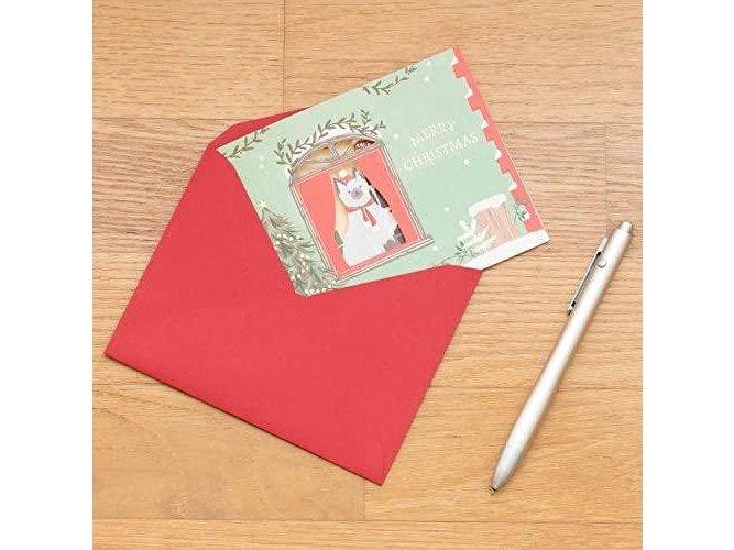 Greeting Life Christmas Window Party Card Cat