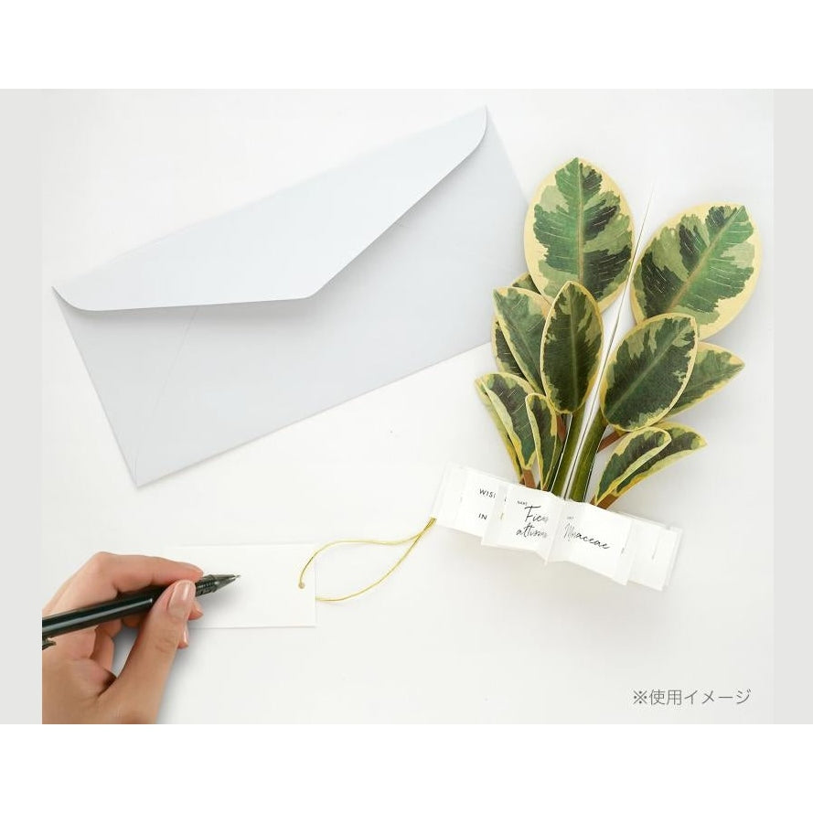 Greeting Life Ficus Artemisia Pop-up Card