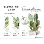 Greeting Life Ficus Artemisia Pop-up Card