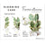 Greeting Life Ficus Artemisia Pop-up Card