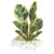 Greeting Life Ficus Artemisia Pop-up Card