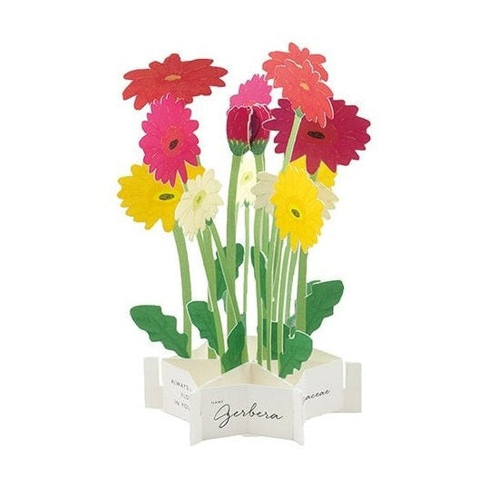 Greeting Life Message Blooming Flower Gerbera Pop-Up Card