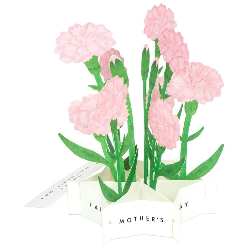 Greeting Life Pink Carnation Flower Mother&#39;s Day Card