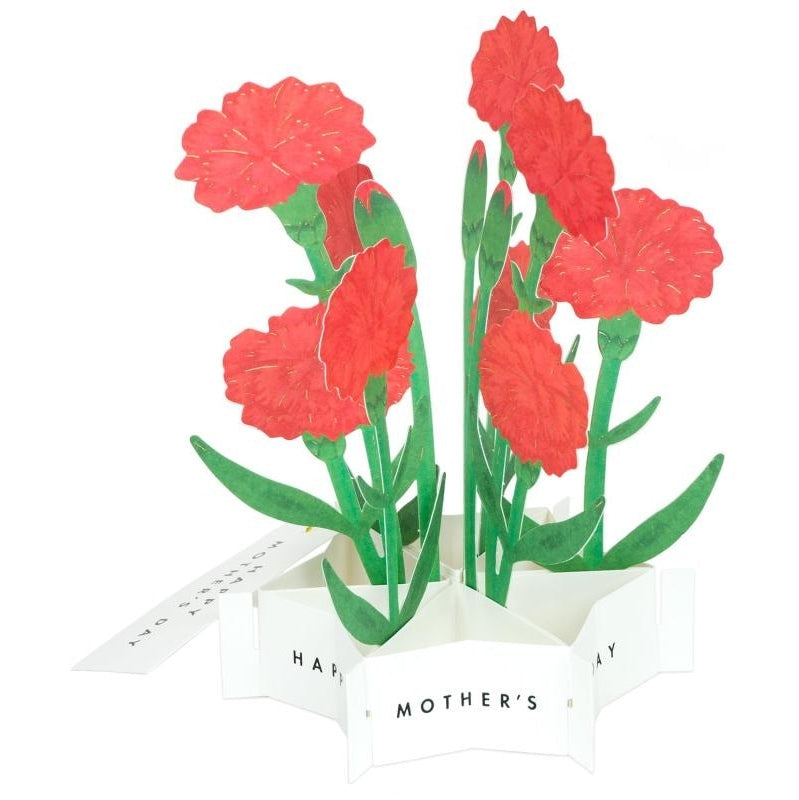 Greeting Life Red Carnation Flower Mother's Day Card