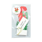 Greeting Life Red Carnation Flower Mother's Day Card