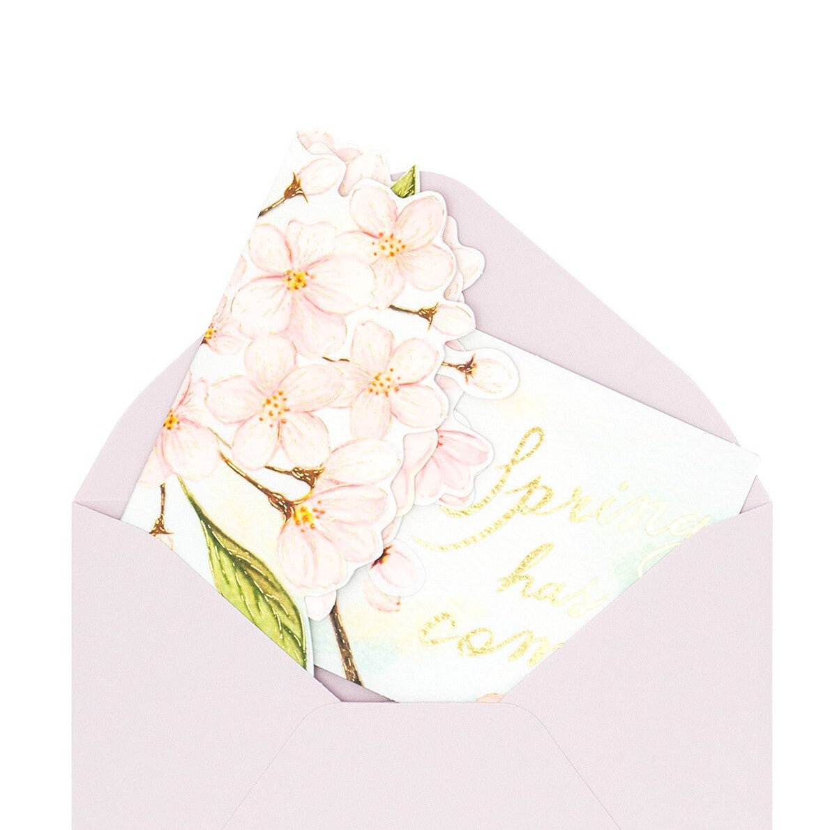 Greeting Life Spring Festival Card Sakura Pop-Up