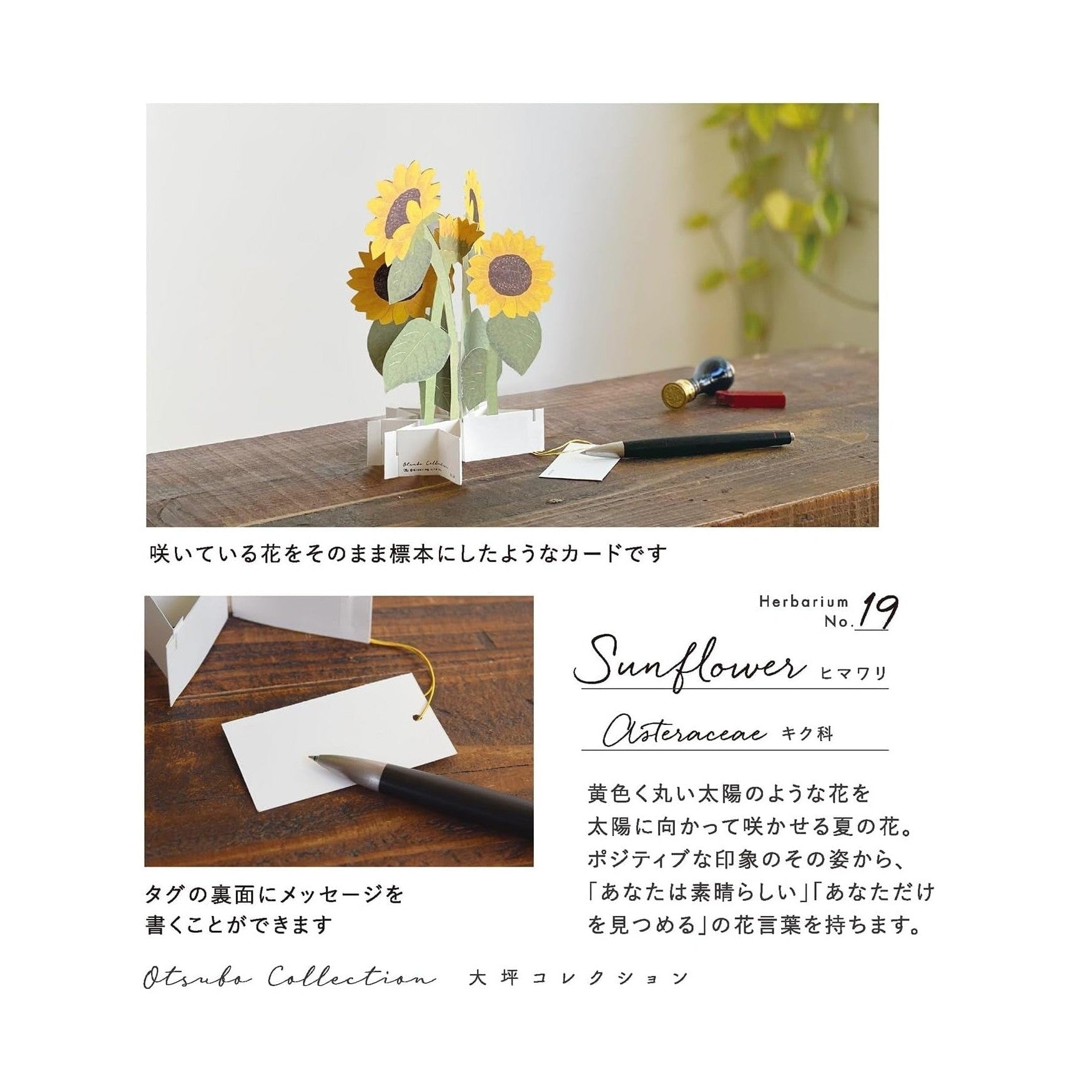 Greeting Life Sunflower Pop-up Card
