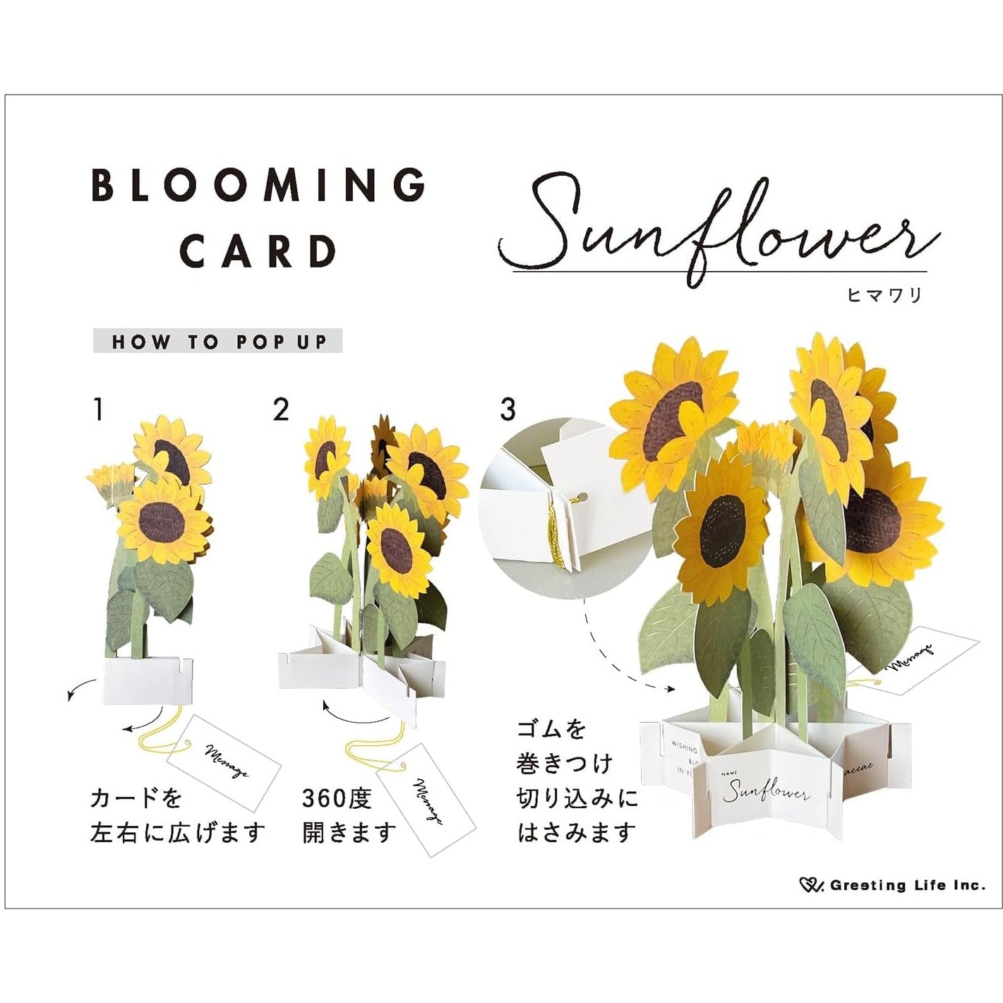 Greeting Life Sunflower Pop-up Card