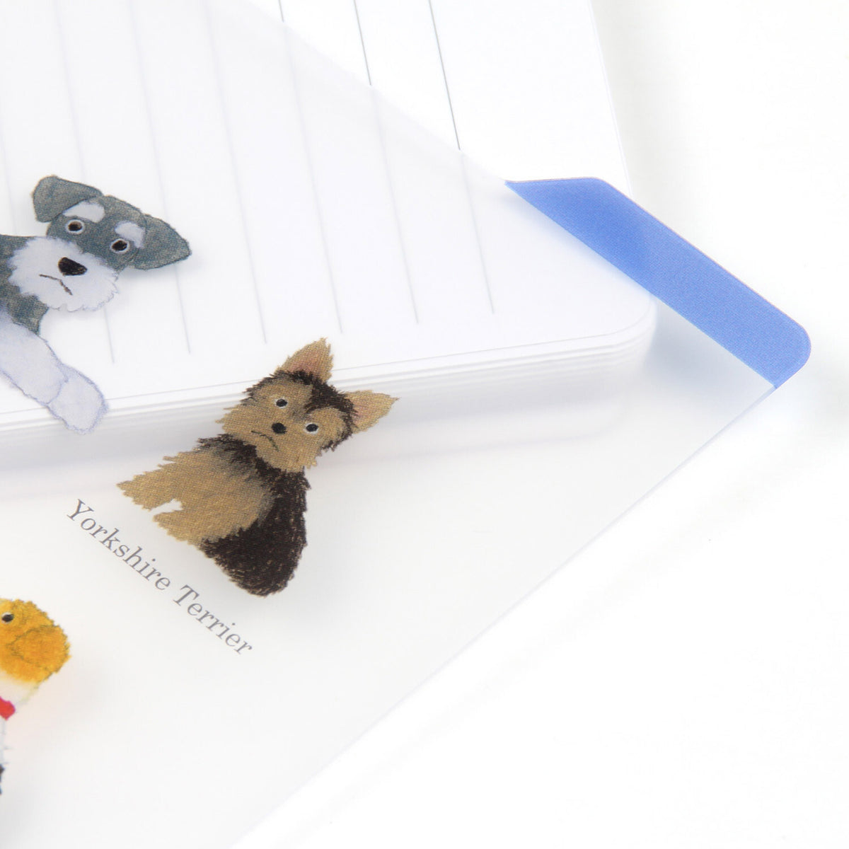 Blue bookmark tab marking a page in a notebook through the clear plastic board