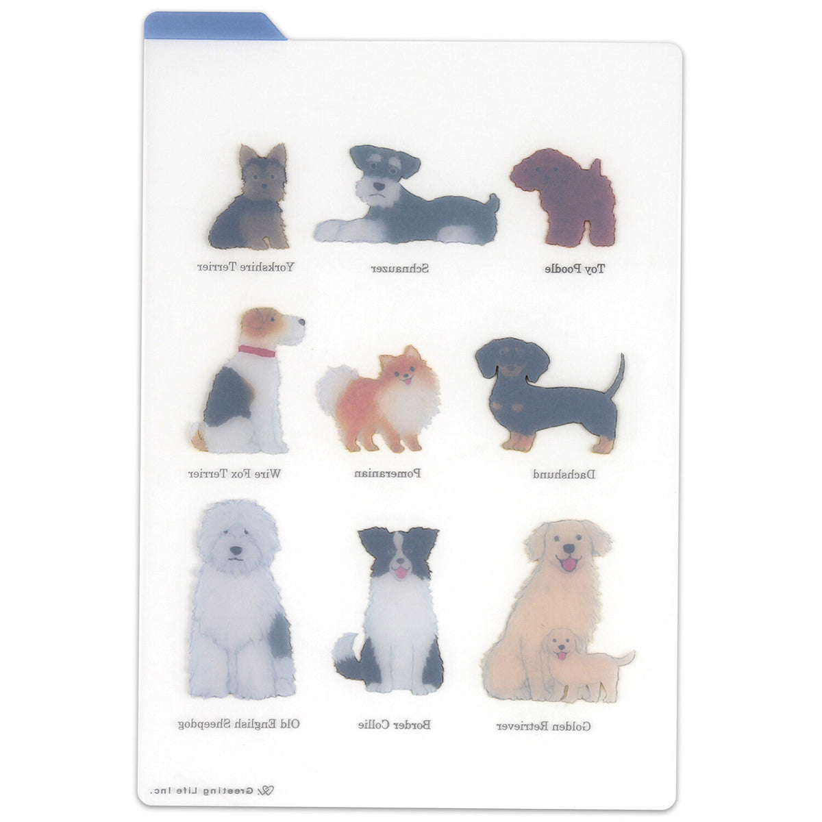Reverse side of clear dog illustration pencil board showing mirrored artwork