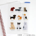 Transparent B6 pencil board placed over lined notebook to demonstrate clarity and use