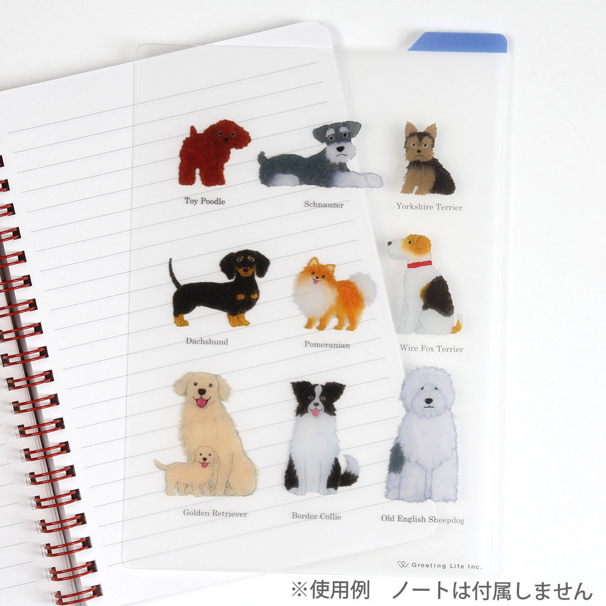 Transparent B6 pencil board placed over lined notebook to demonstrate clarity and use