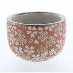 Hanachirashi Blossom Sake 3P Set