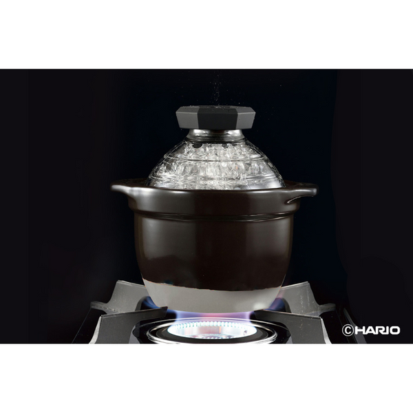 Hario GOHANGAMA Glass Lid Rice Cooker 1-2 Cups
