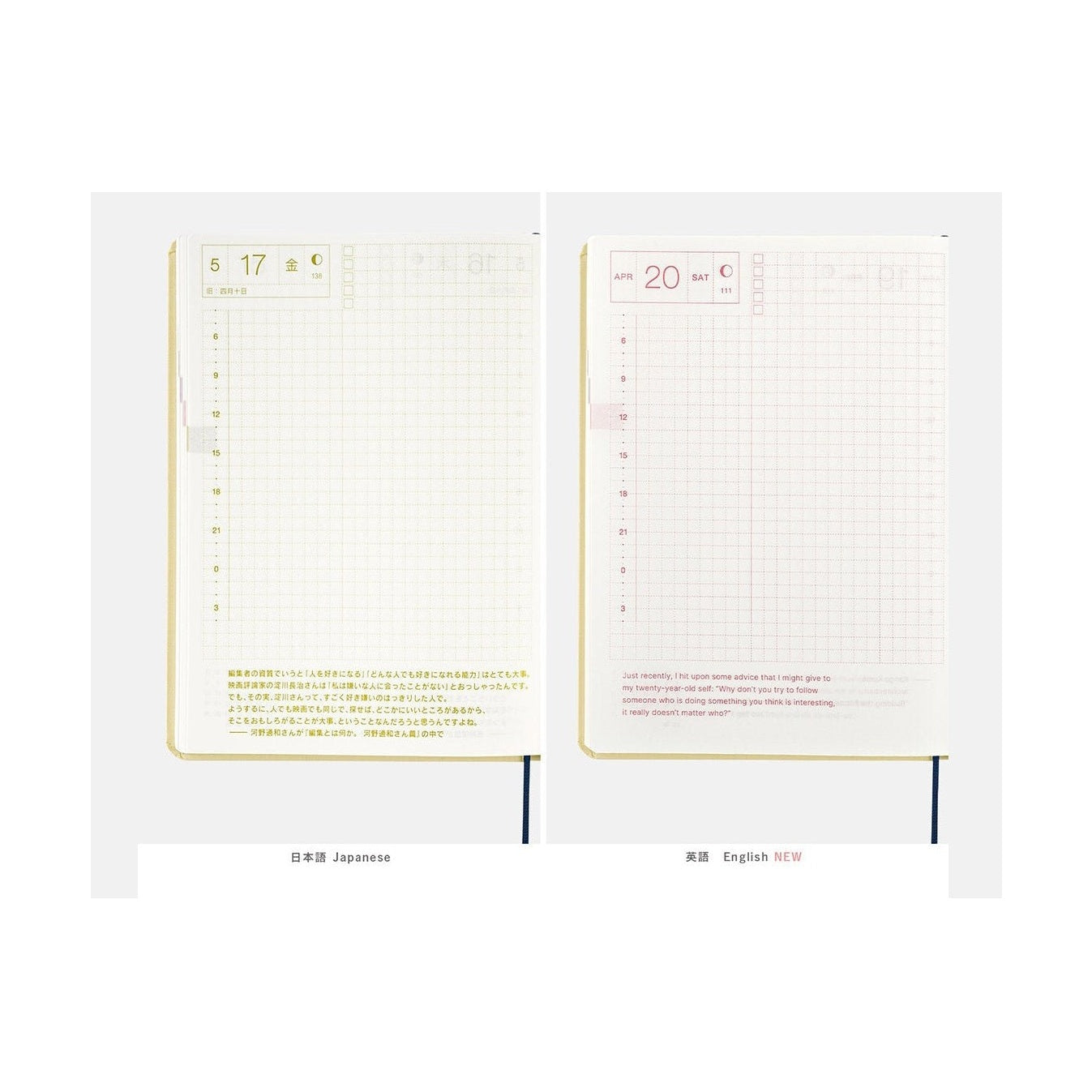 Hobonichi Techo 2024 A5 HON Bow & Tie: Tiny Dragons