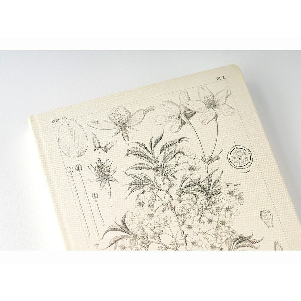 Close-up of Hobonichi Techo 2024 Yamazakura botanical illustration on textured cream paper