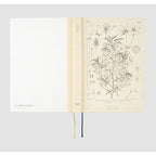 Hobonichi Techo 2024 inside cover featuring botanical diagram and vertical spine year