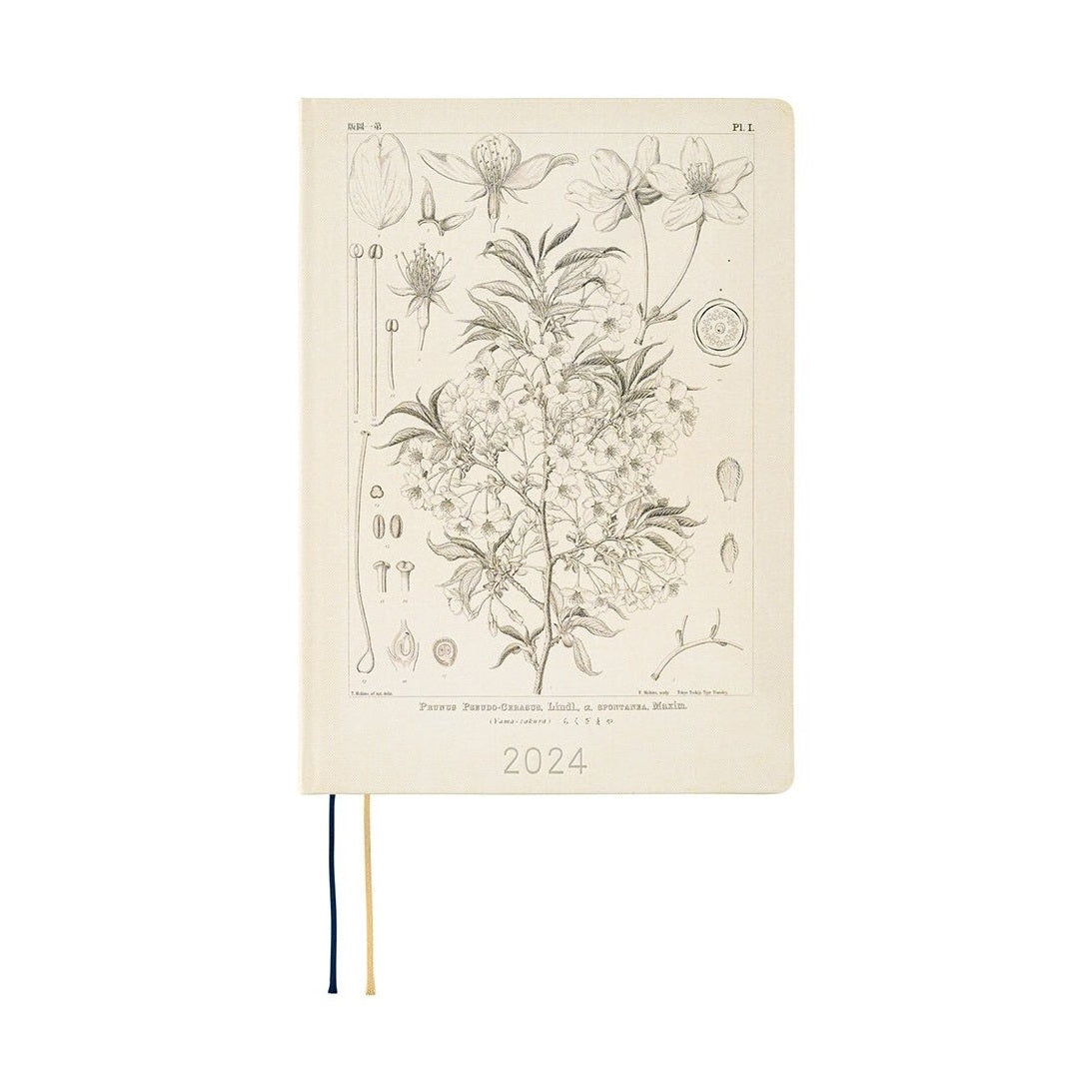 Hobonichi Techo 2024 Yamazakura front cover with labeled botanical plant diagrams