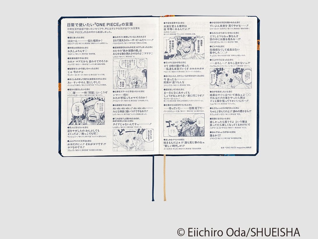 Hobonichi Techo 2024 A6 HON ONE PIECE magazine: Like the Sun [JPN/A6/Jan Start]