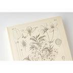 Hobonichi Techo 2024 A6 HON Tomitaro Makino: Yamazakura English Ver.