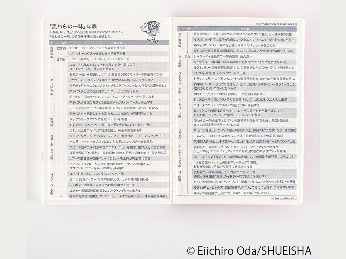Hobonichi Techo Original Book One Piece Edition 2024 Agenda A6