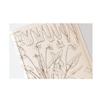 Hobonichi Techo 2024 Weeks Tomitaro Makino: Shihai Sumire
