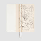Hobonichi Techo 2024 Weeks Tomitaro Makino: Shihai Sumire