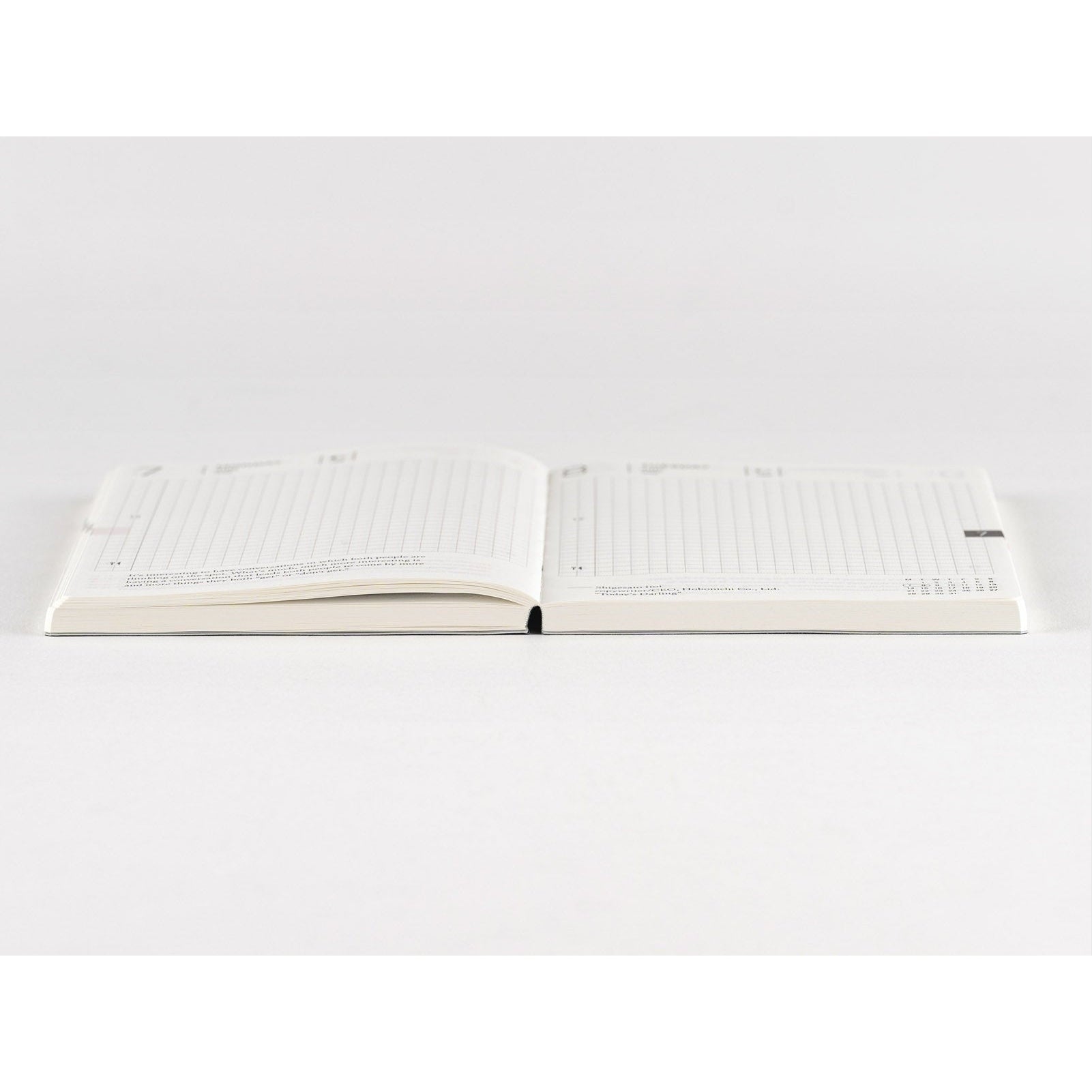 Top-down view of Hobonichi Techo 2025 open planner with subtle dot grid and bookmark tab