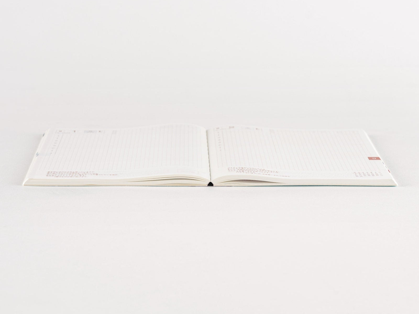 Hobonichi Techo 2025 Japanese Cousin Avec Books A5 size/Daily 6-month x 2 book set/Jan start/Mon start