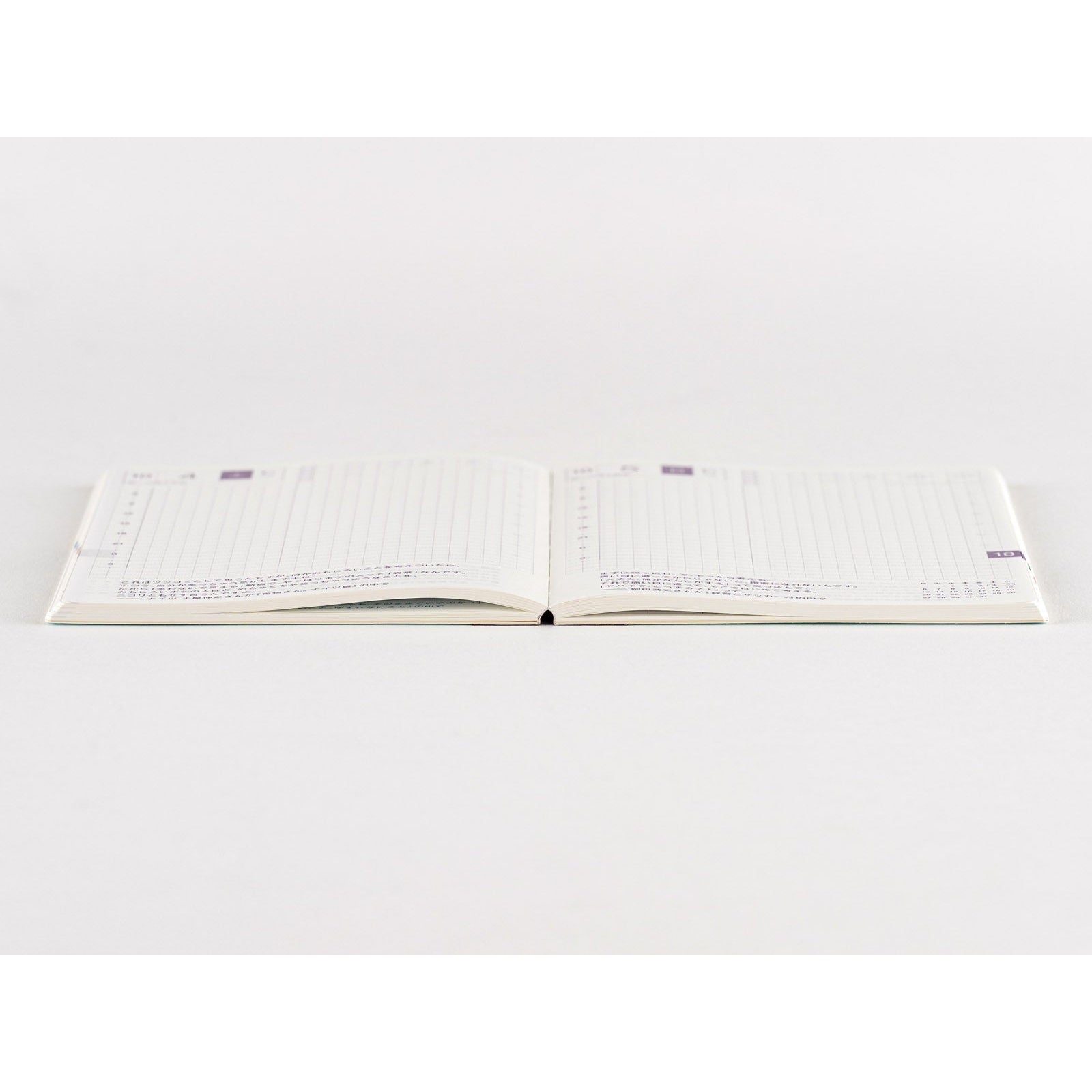 Hobonichi Techo 2025 flat lay view of daily grid pages with purple date markers