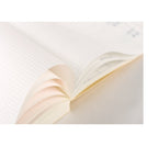 Hobonichi Techo 2025 cream paper close-up showing fine dot grid texture