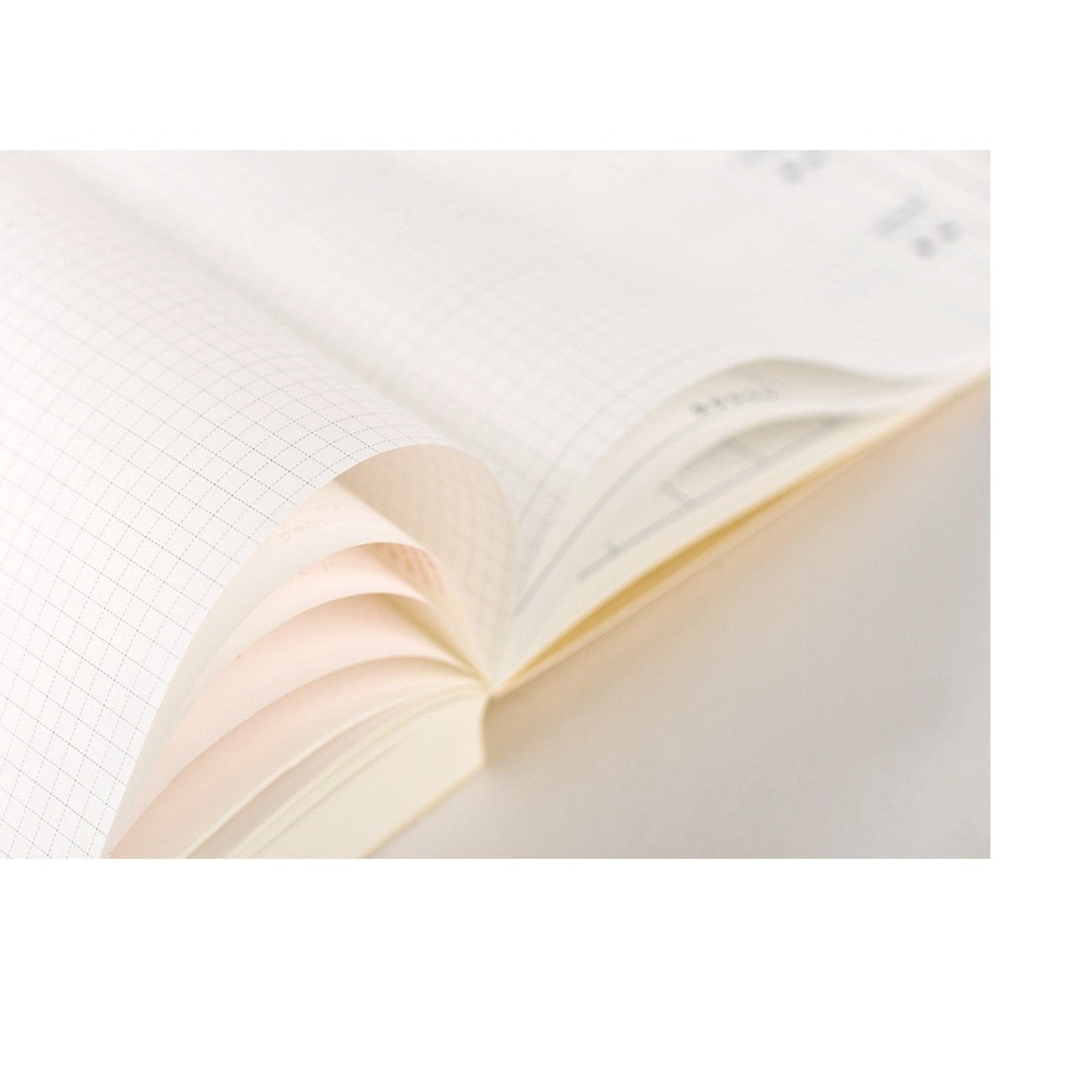 Hobonichi Techo 2025 cream paper close-up showing fine dot grid texture