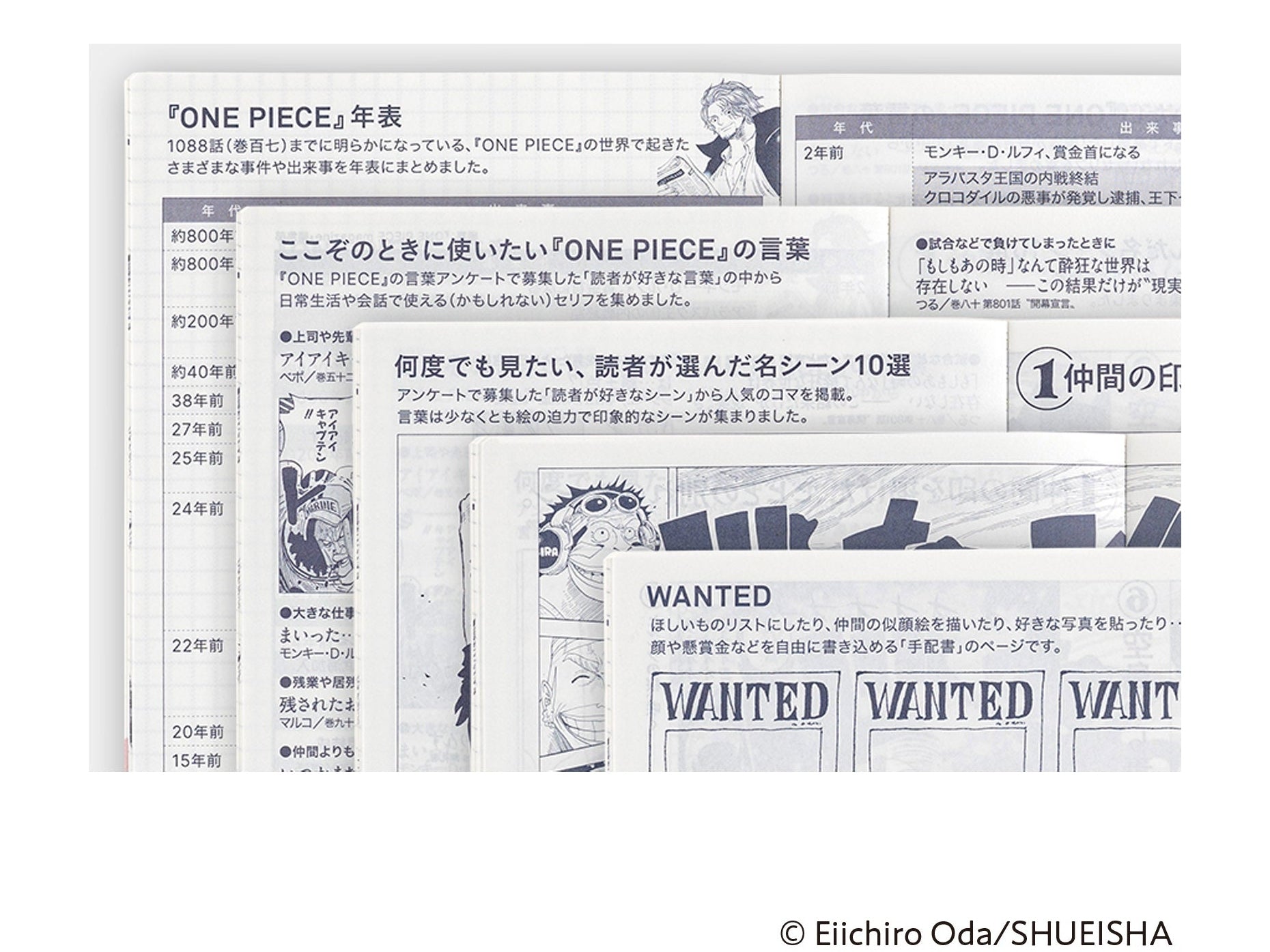 Hobonichi Techo 2025 Japanese Original Book - One Piece Edition A6 size/Daily/Jan start/Mon start