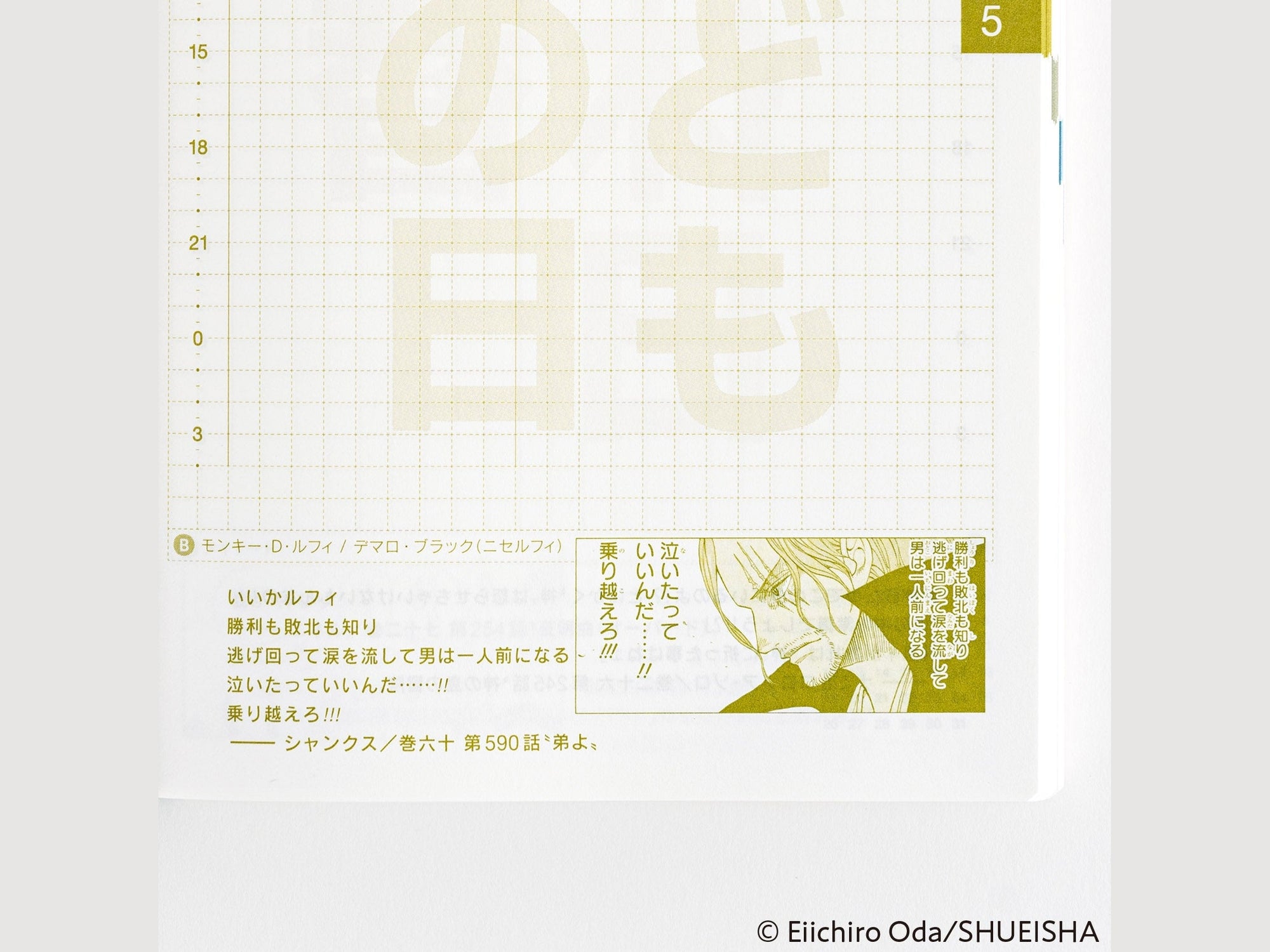 Hobonichi Techo 2025 Japanese Original Book - One Piece Edition [A6 size/Daily/Jan start/Mon start]