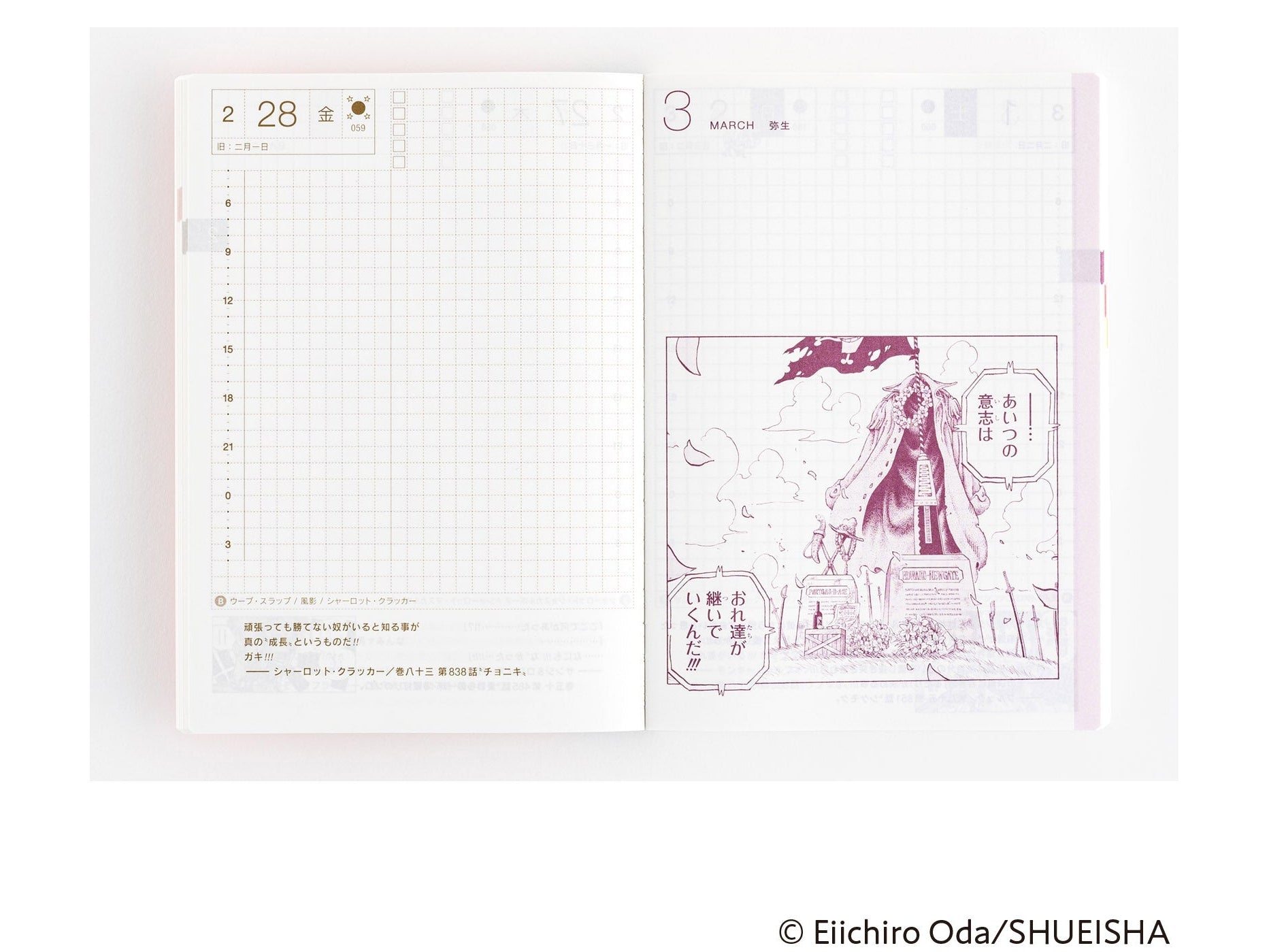 Hobonichi Techo 2025 Japanese Original Book - One Piece Edition A6 size/Daily/Jan start/Mon start