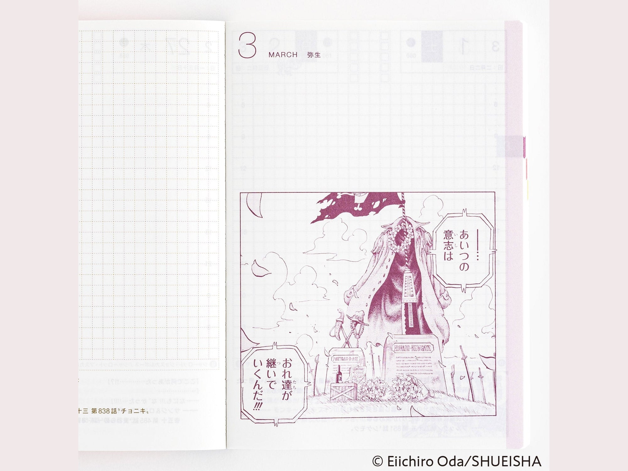 Hobonichi Techo 2025 Japanese Original Book - One Piece Edition A6 size/Daily/Jan start/Mon start