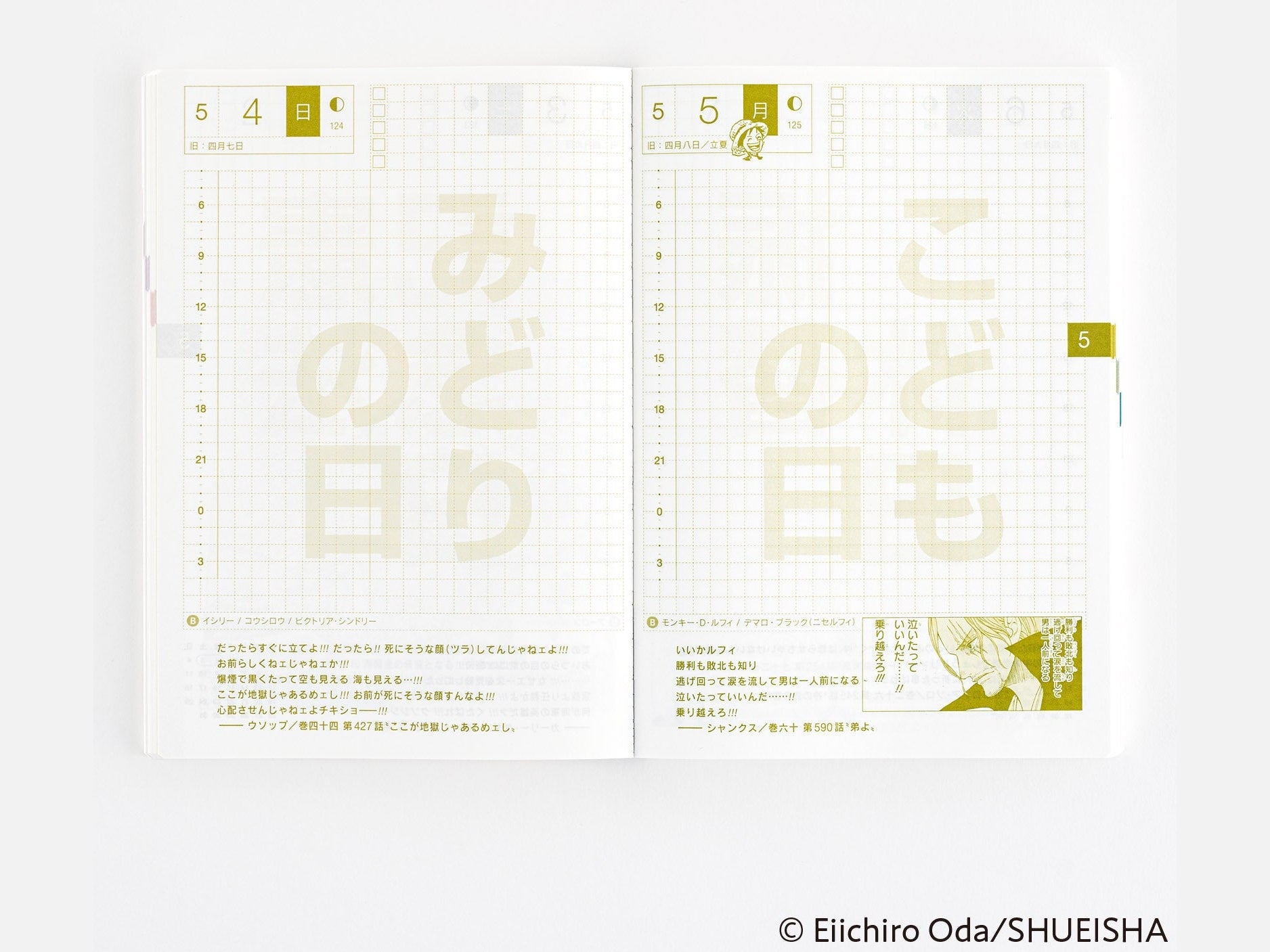 Hobonichi Techo 2025 Japanese Original Book - One Piece Edition A6 size/Daily/Jan start/Mon start