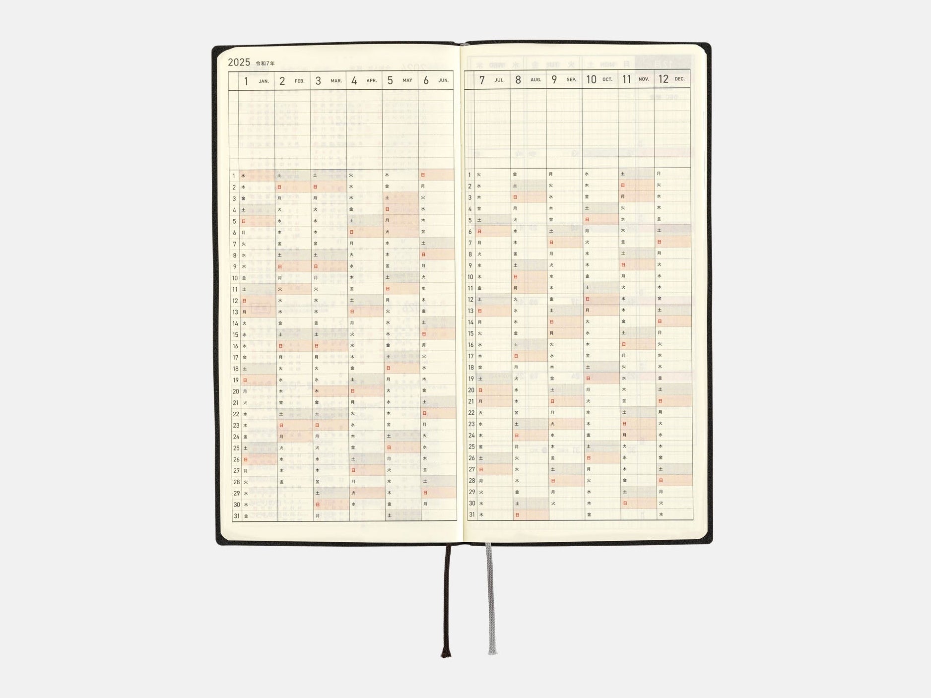 Hobonichi Techo 2025 Weeks - White Line: Black