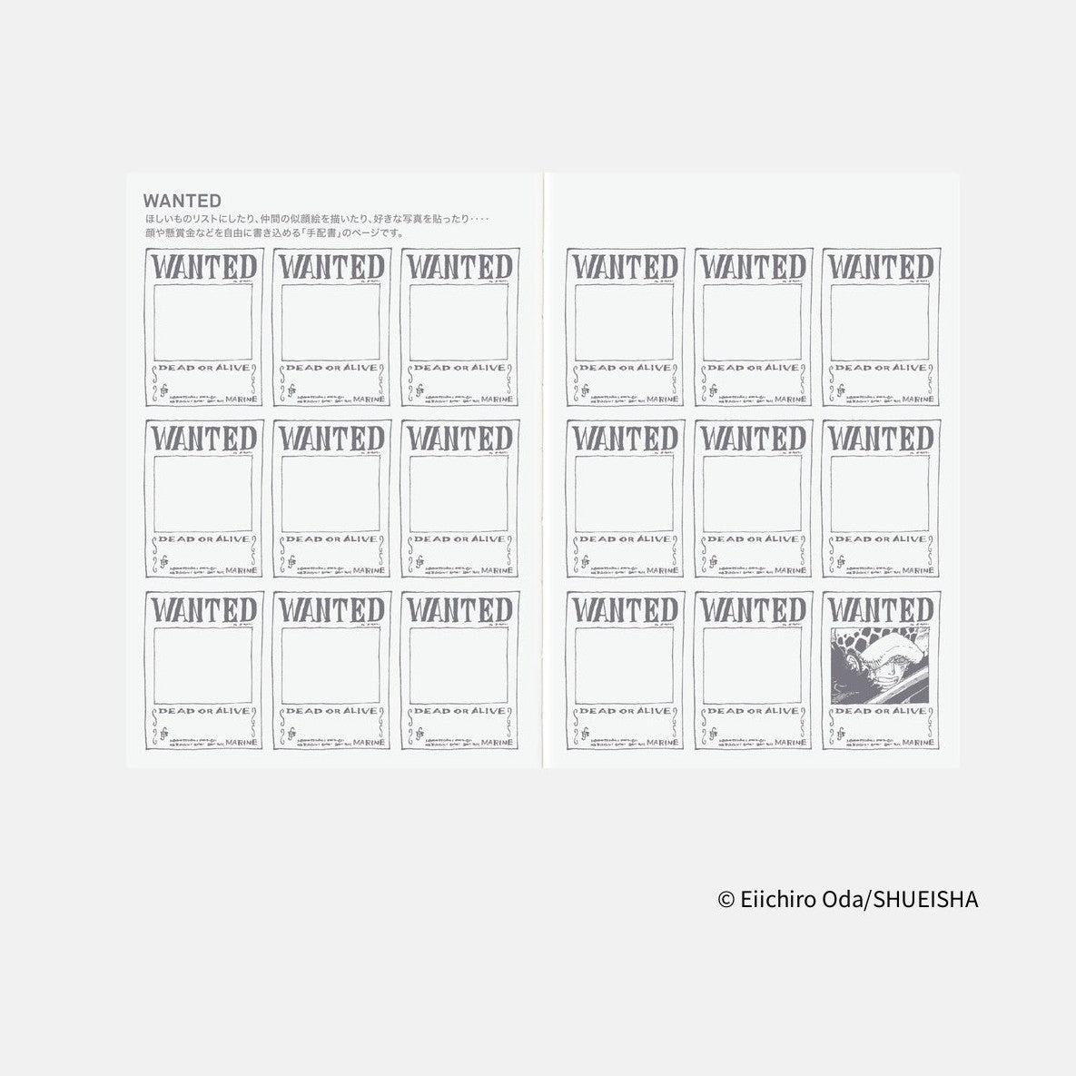 Wanted poster grid inside Hobonichi Techo 2026 One Piece planner with Marine Dead or Alive design
