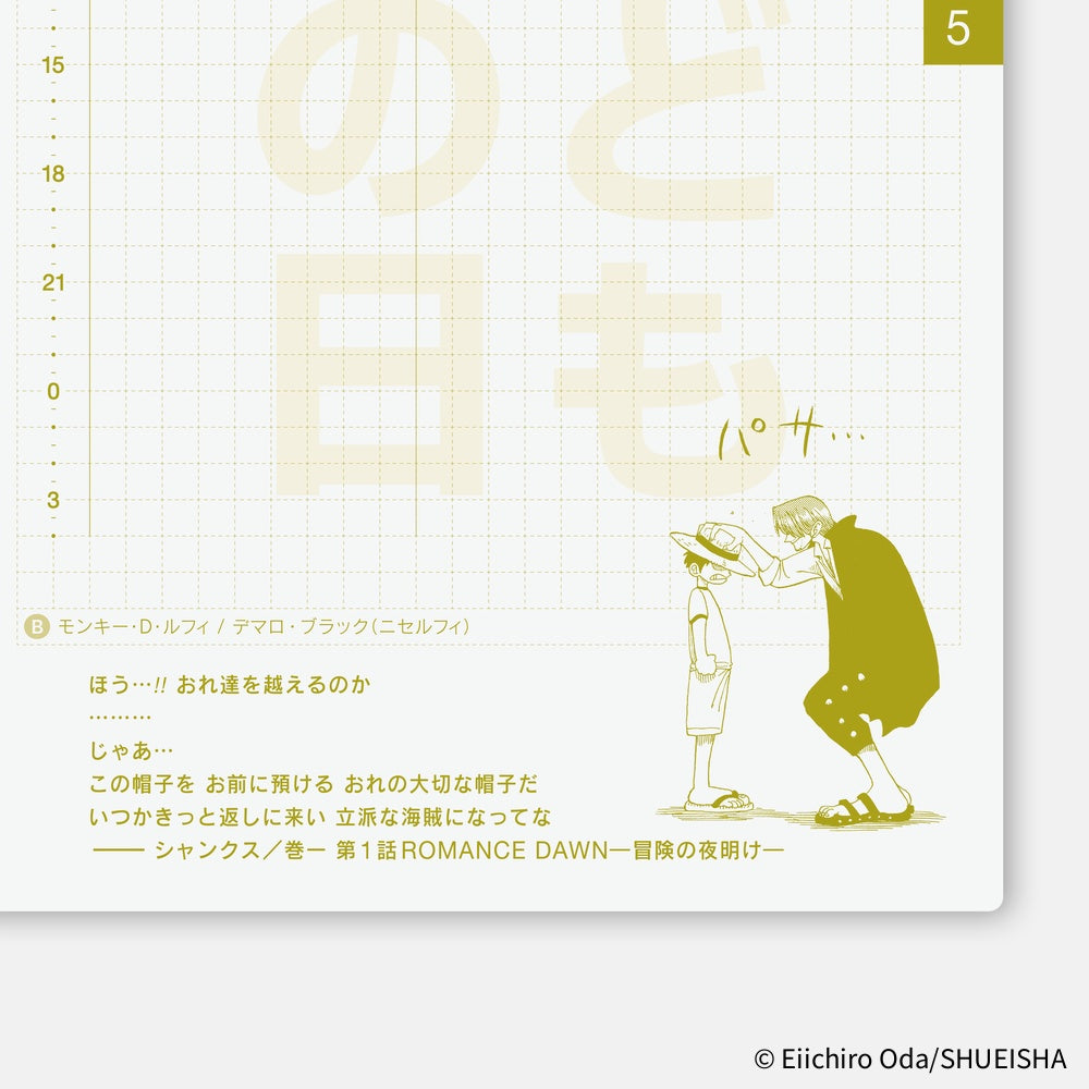 Hobonichi Techo 2026 Japanese Original Book - One Piece Edition A6 size/Daily/Jan start/Mon start