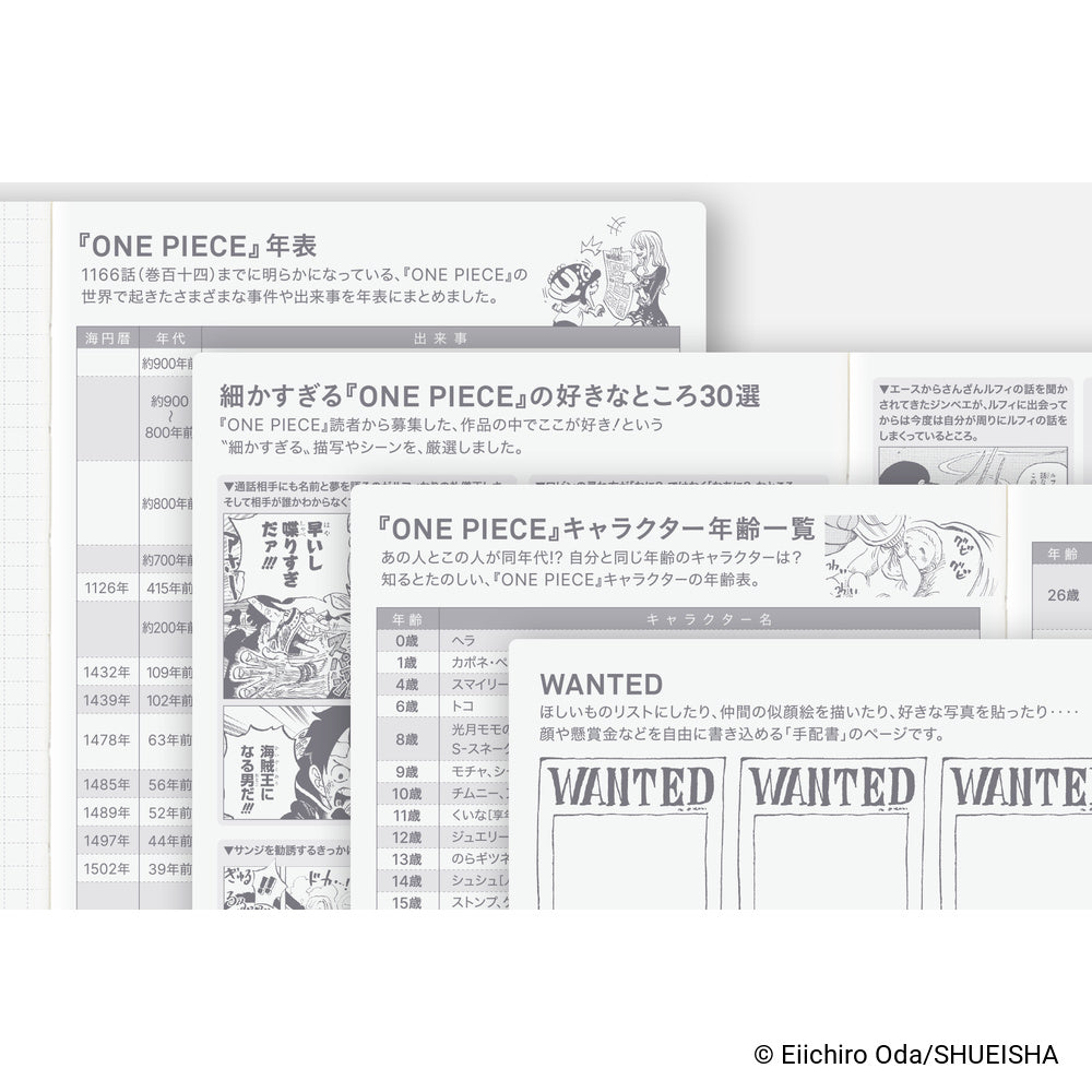 Hobonichi Techo 2027 Japanese Original Book - One Piece Edition [A6 size/Daily/Jan start/Mon start]