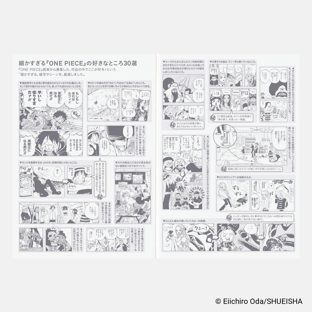 Hobonichi Techo 2027 Japanese Original Book - One Piece Edition [A6 size/Daily/Jan start/Mon start]