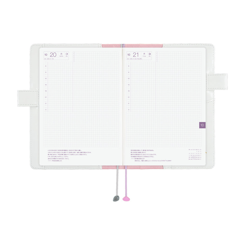 Hobonichi Techo A5 Cousins Planner Cover - Leo Lionni: Frederick (Colours)