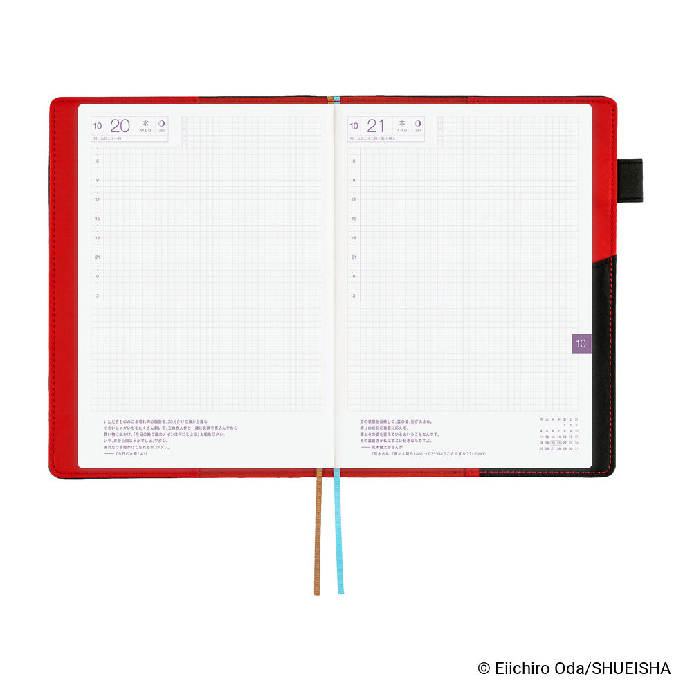 Hobonichi Techo A5 Cousins Planner Cover - ONE PIECE magazine: Going Merry Go!