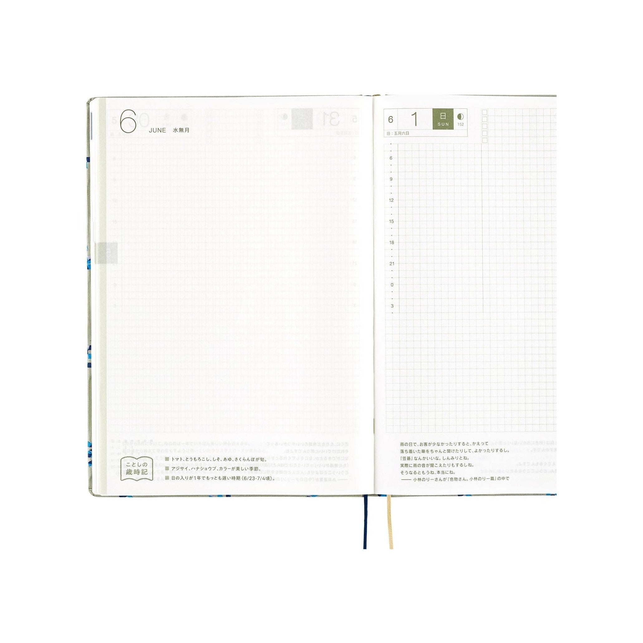Hobonichi Techo A5 2025 June 6 daily layout page with large date number, hourly grid, and ribbon bookmarks