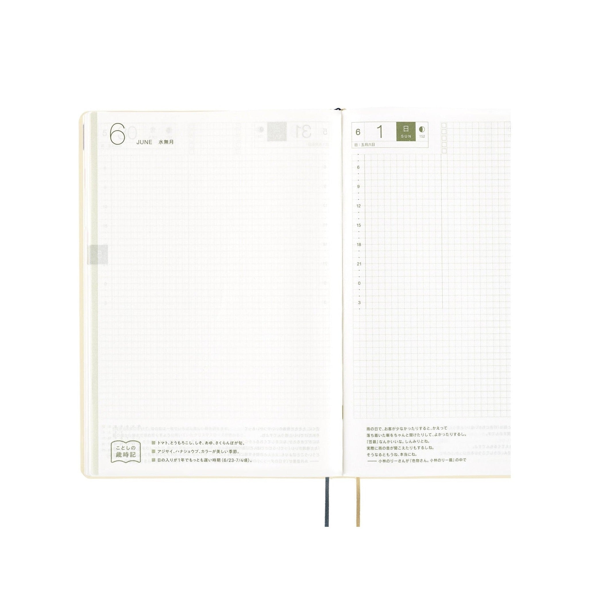 Hobonichi Techo A5 June daily layout with green date box and grid reference page